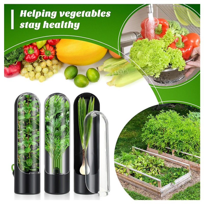Herb Keeper Container - 1/2/3 Stück Kräuter-Aufbewahrungsbehälter, Frischhaltebehälter für Kräuter,