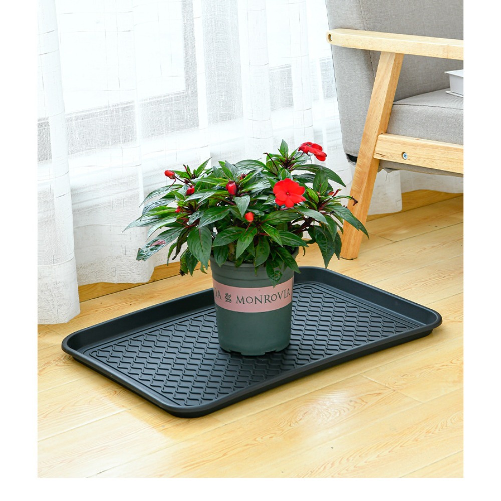 Food Storage In Plants - Multifunktionales Kunststofftablett, vielseitiges Schuhtablett, Pflanzuntersetzer, Futtermatte