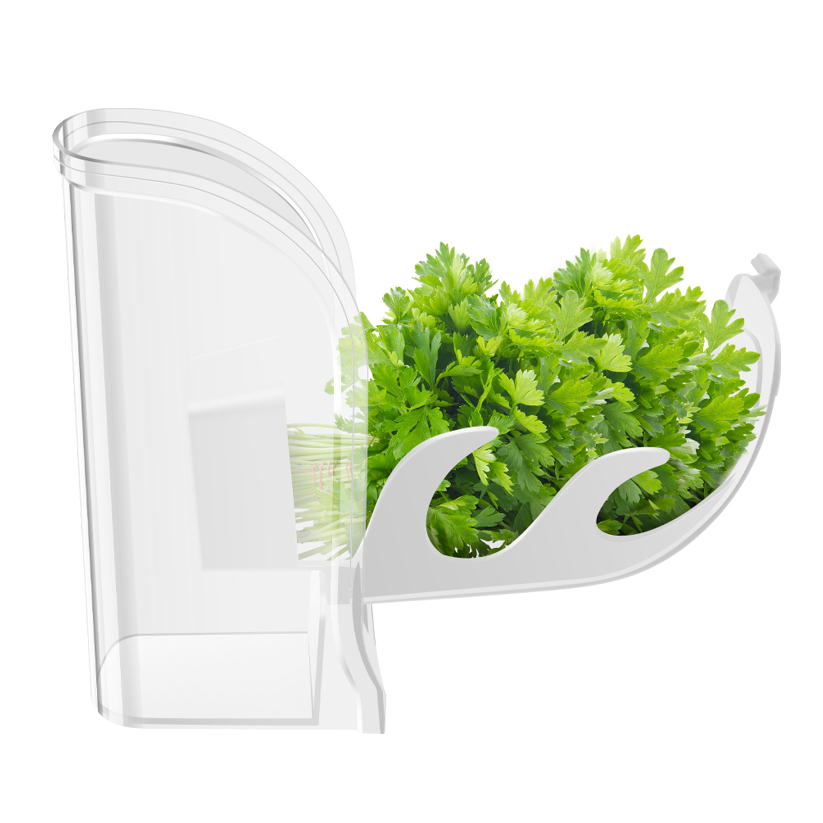 Kräuter-Crisper-Sparbehälter,  – Herb Keeper Container Bewertung und Preis
