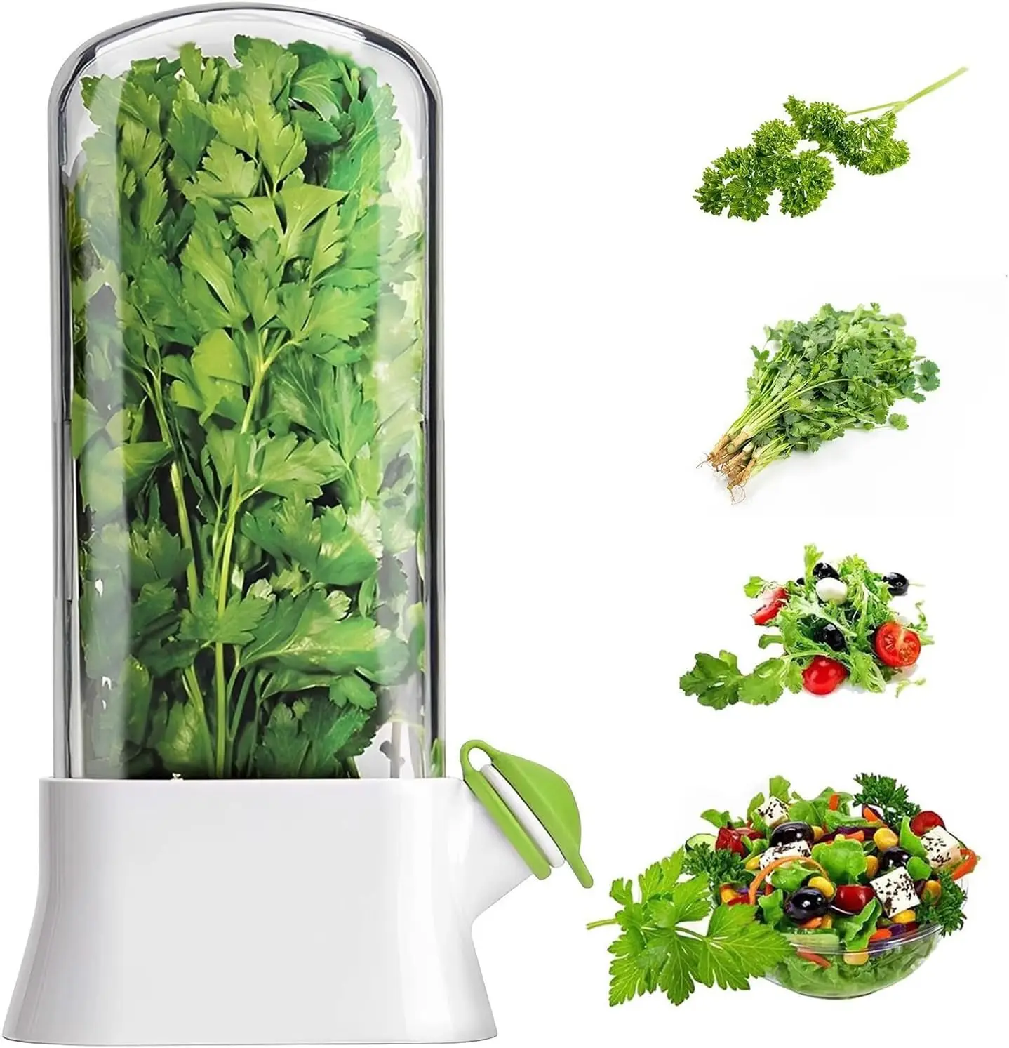 Kräuter-Frischhalter für den K – Herb Keeper Container Bewertung und Preis