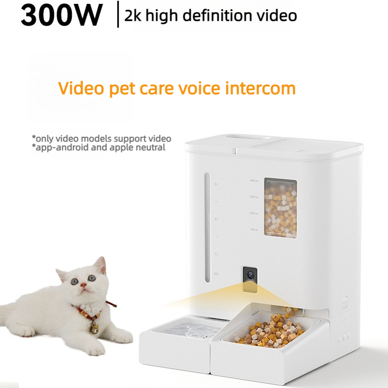 Automatischer Futter- und Wass – Food Storage Freeze Dried Bewertung und Preis