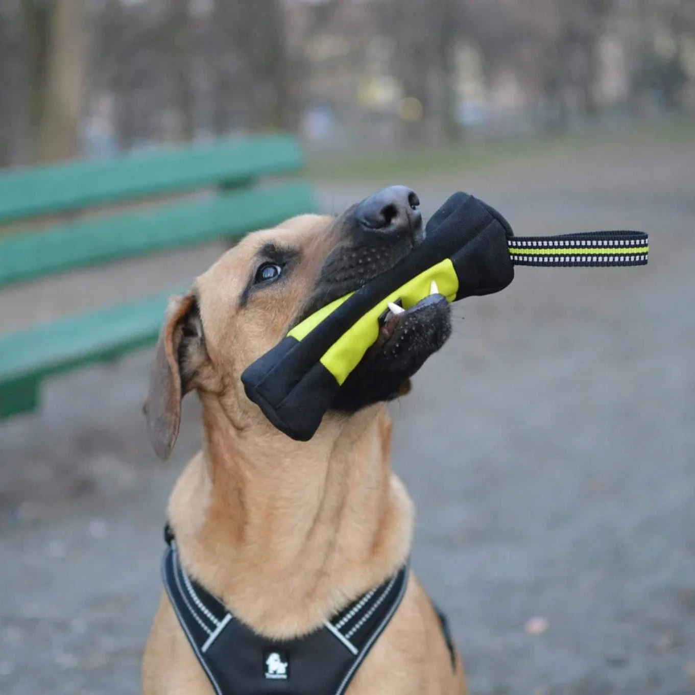 Truelove Hundetraining Retriev – Food Storage Zipper Bags Bewertung und Preis