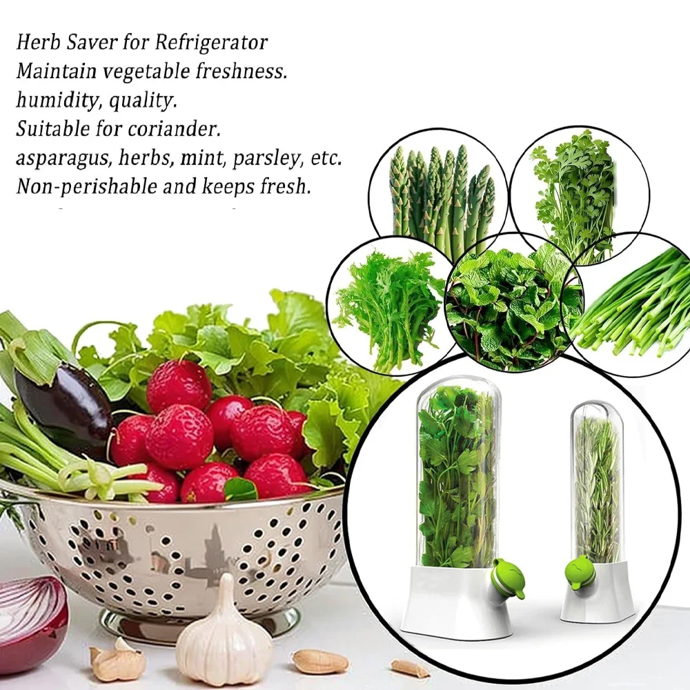 Kräuterschoner-Aufbewahrungsbe – Herb Keeper Container Bewertung und Preis