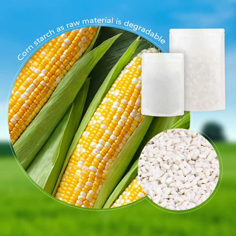 Maßgeschneiderte abbaubare Kra – Food Storage In Plants Bewertung und Preis