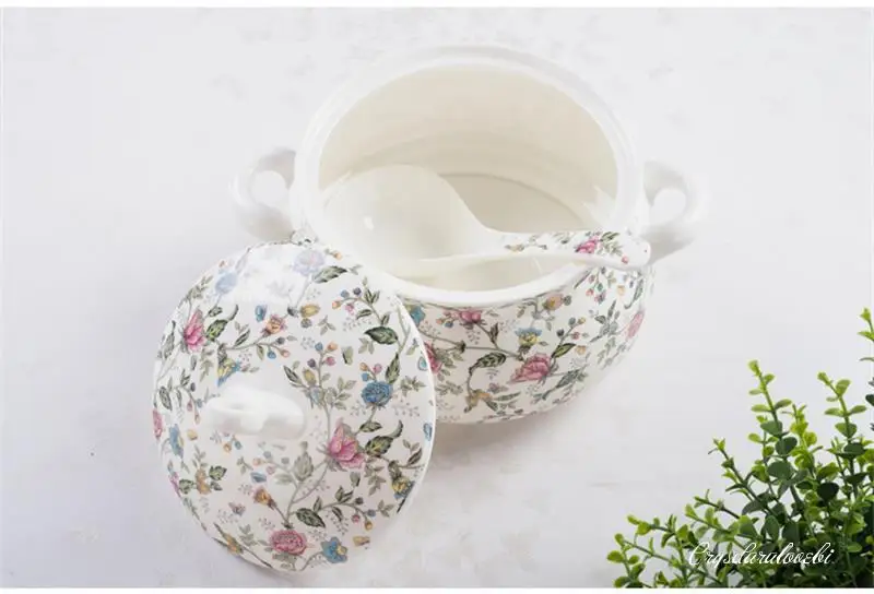 22,9 cm, Knochenporzellan-Terr – Food Storage In Plants Bewertung und Preis