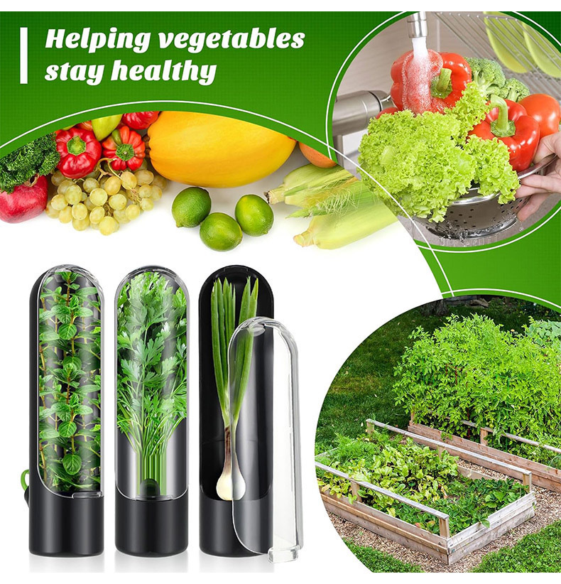 Gemüse Frische Konservierung F – Herb Keeper Container Bewertung und Preis
